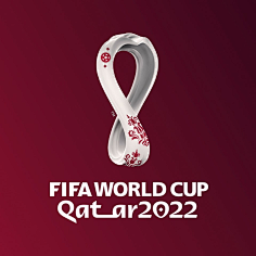 在联合国